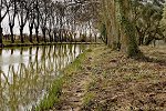 [Cliquer pour agrandir]
